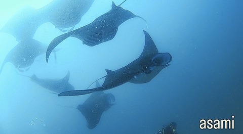 F6E68697-0A4E-4F1B-821E-866F146D8F71