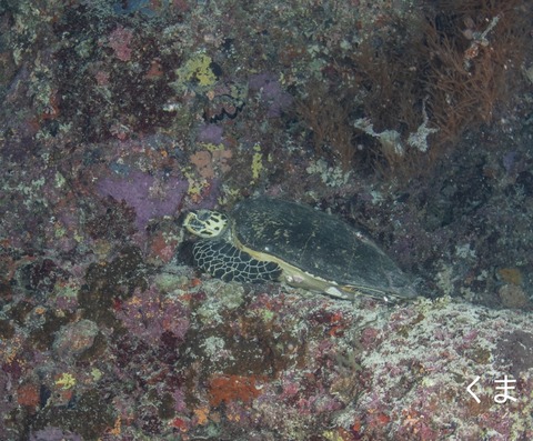 A6EF7A2F-3DBD-4F13-849B-BB3B5C743C07