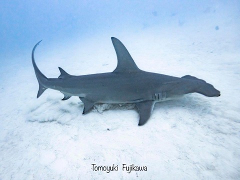 375919558_6583277028433220_1222491368584961761_n