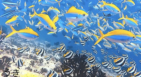 E94B24EF-B43E-4527-9745-58CD27BA35F5