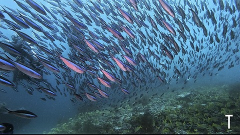 E587F89A-0FE0-45B6-B62D-126BB03F24DB