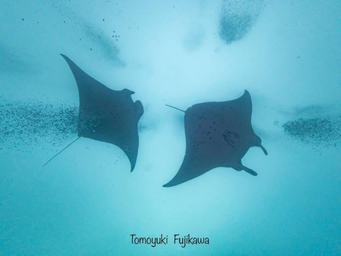 375864355_6583275695100020_5816537742622624072_n