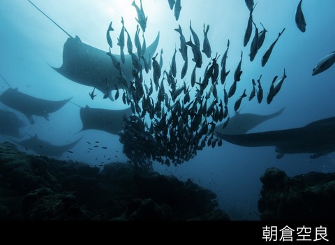 BFB53882-B43C-4CBF-A35F-D17A07DF2A22