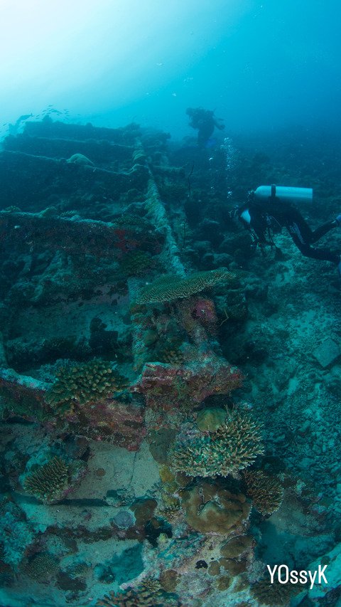 FEA4FCF2-8A6F-431F-B9BD-AF8271FE4529