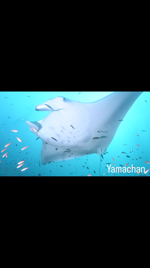 6D57AB29-7564-4B74-9069-13B9DD1B7433