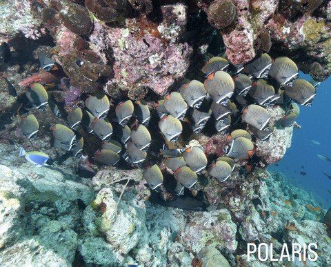 8EF59BDC-B053-454B-AB23-F53B778C23A7