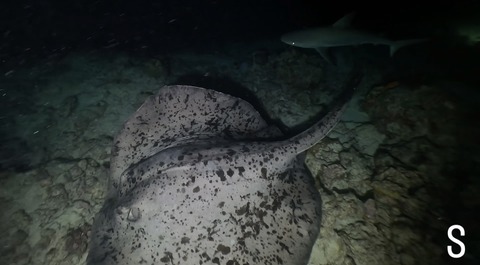 2D17C85A-E297-4AE5-8FEE-D52603A859D5