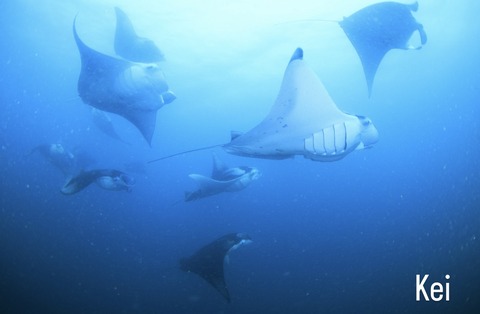 D62A4505-26EA-4D95-A1C7-8DB730F227C0