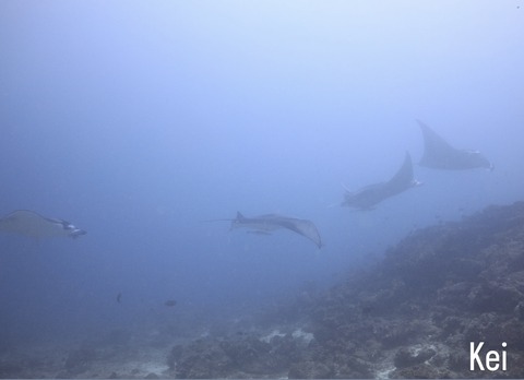 652124B3-715E-4283-9BBC-B30CF53AE398