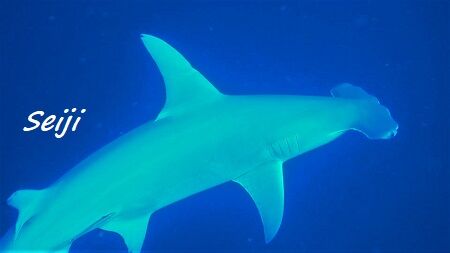 00115_Trim - frame at 0m9s (2)