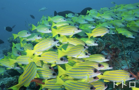 9CF93FD6-E5A7-40BB-B121-4307116BFF7F