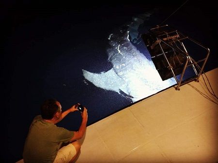 FB_IMG_1517138843572