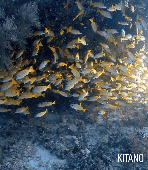 69591161-3983-482C-9C31-4D444D7977BF