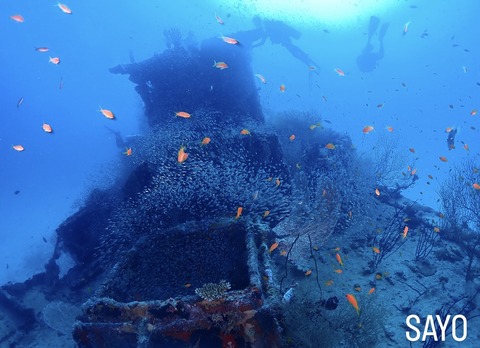 9580A6D5-954B-4813-8668-F2BA7539A96A