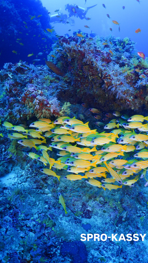 48EB4689-DC1D-49B2-9736-240DE3EC8014