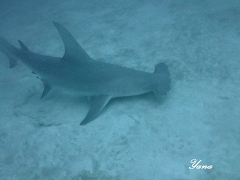 362649806_6463579117069679_6070429912285051965_n