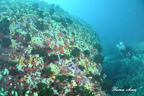 230814_101734-294485