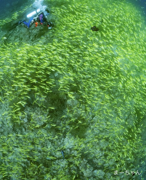 4ACA002E-5FA1-4A86-AB93-8414E2CDE814