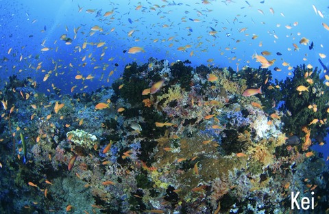 2DEB9084-BB0E-46EC-929C-4B6E321C5F56