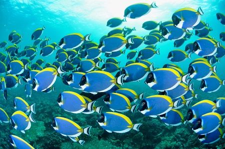 37488433_1814642485292025_5652567112070201344_n