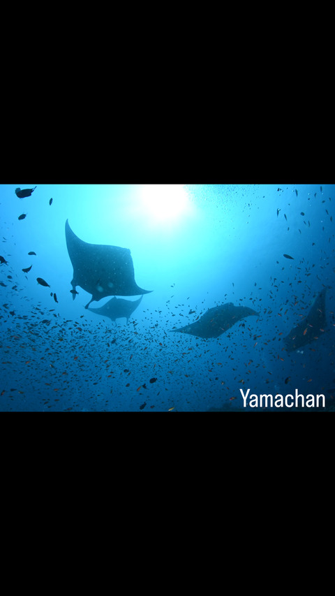 AEBA5B0A-B971-4F68-863D-2DEF0FDCA48A