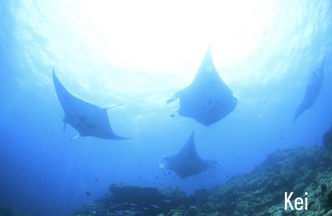 4D46485F-6862-476C-8EAA-49DA3978566C