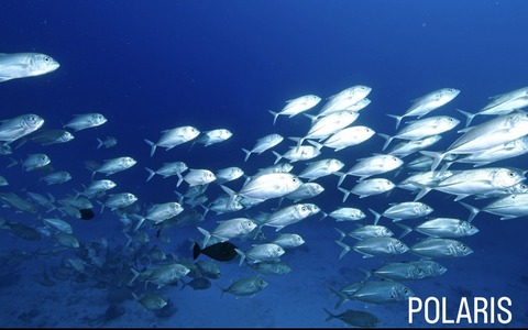 AB59D7E9-E05A-40F4-9206-E6ACE46F5B16