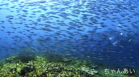 DEF01AAC-4EDF-4412-8F62-6A08D8819B8A