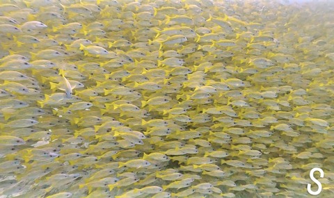 391A11BB-1820-4BAF-B78A-9407F7F48FDC