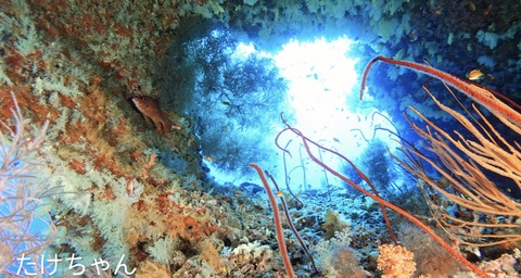 C40FA18D-AD52-456B-A41F-FD5F541782EA