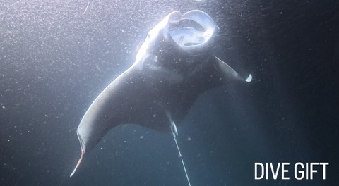 CB355792-9C0F-49FF-8AAC-E4833A29AFDA