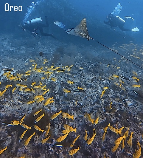 056F01F2-3282-4F55-B75E-5900D18EE8FC