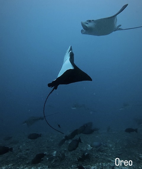 4DE8C23E-AA39-4627-B9FC-7DBD91E9AB7C