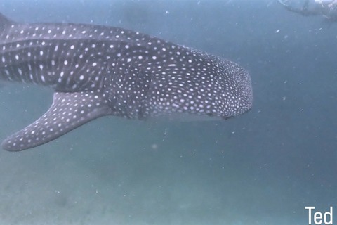 41F21189-A1D1-4DCF-8D3B-80570239C5B6