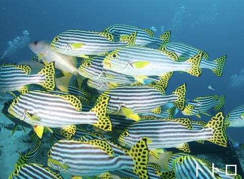 C0E02545-05D1-4B6E-8116-59530B8EB000