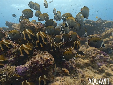 C29BFF3A-2B71-400E-9940-708303BE1E61