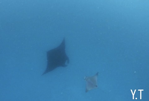 04855C0F-BCA6-4B65-89FF-901F9116315B