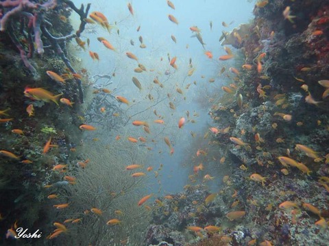 373464965_2265015500365100_8231138338443383357_n