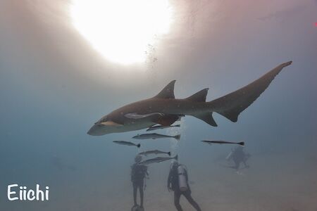 英一さんフォトコン