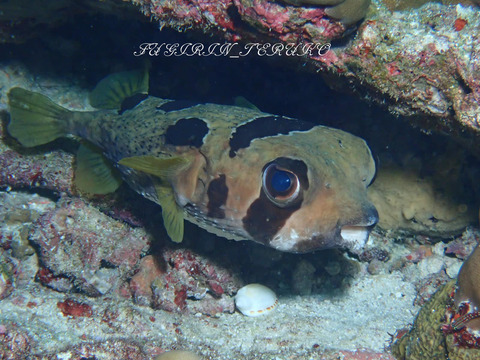 386728713_6685190914908497_4686937118734949459_n