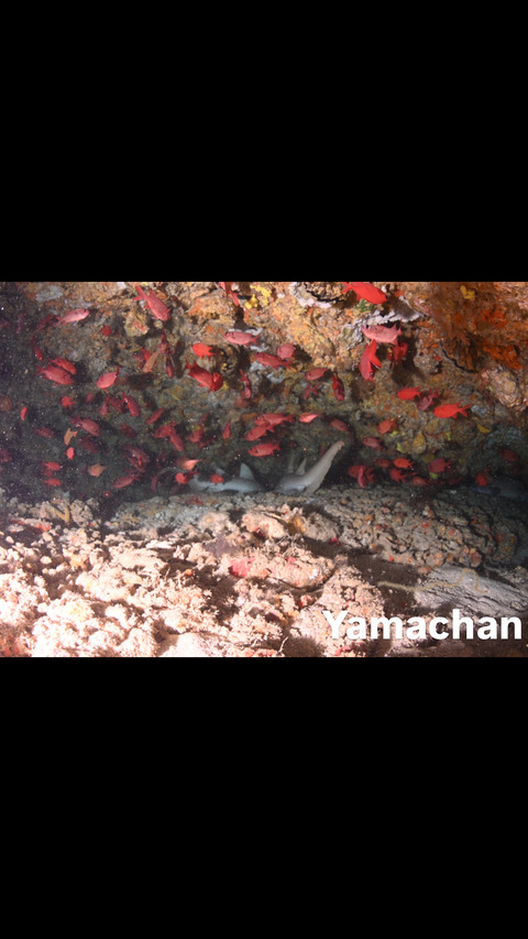 159F42B0-2FFB-4B32-9097-98EDCC383B4E