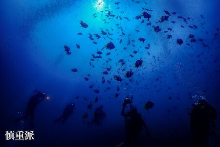 小竹さんフォトコン