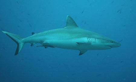 Screenshot_2014-09-26-06-41-40