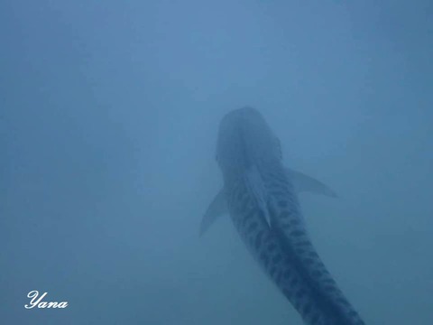 365550905_6463578610403063_489067402361145464_n