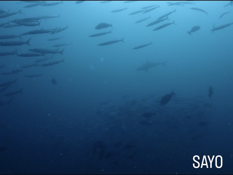 94E3FA72-B616-4BFE-BAA8-2436E74F3D50