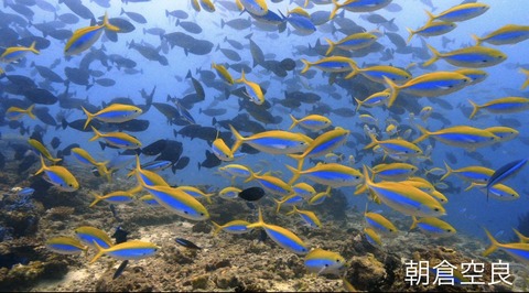 DF88728C-F6E8-45F8-87DF-29FBEE52EE68