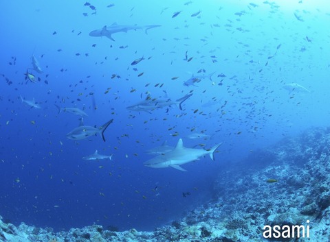 558DFDAE-D0BA-4D7F-B1DB-BEF2262F58B6