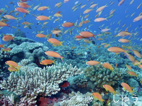 98E19118-8A7C-4AD5-B24B-F956B3F15C32