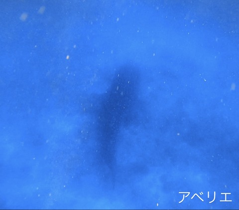 AD6ACF56-4A4B-49E3-91B8-919B57EE554D