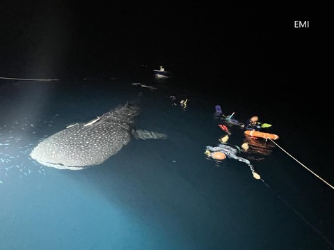 393890961_1759750967782184_1656299552315769887_n